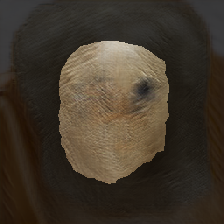 layer2-583