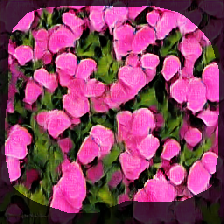 layer0-695