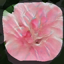 layer0-695