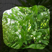layer0-695