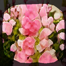 layer0-695