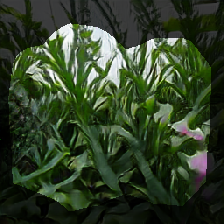 layer0-695
