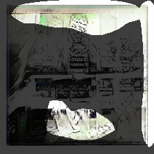 layer1-1005