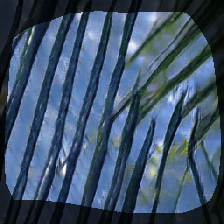 layer0-1428