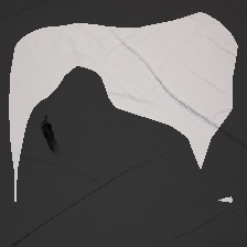 layer0-1009