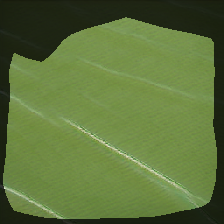 layer0-158