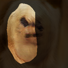 layer0-223