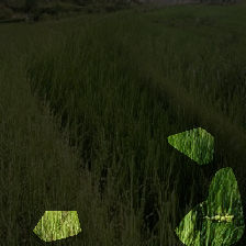 layer0-552