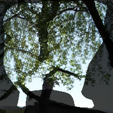 layer0-1389