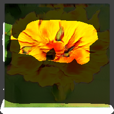 layer1-27