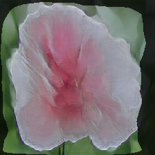 layer1-260