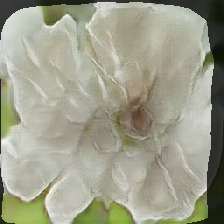 layer1-260