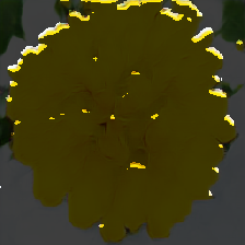 layer5-98