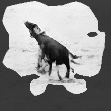 layer0-250