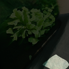 layer0-1242