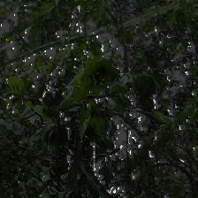 layer5-28
