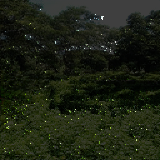 layer5-28