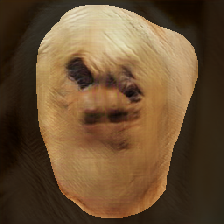 layer1-859