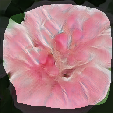 layer1-527