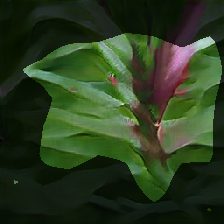 layer0-1074