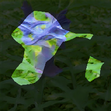 layer0-1074
