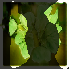 layer0-345