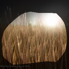 layer0-1894