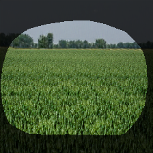 layer0-1894