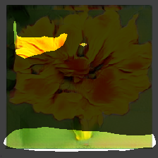 layer1-870
