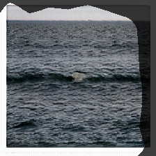layer0-1227