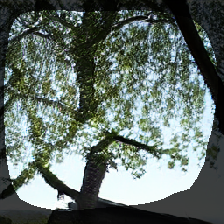 layer1-768