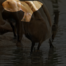 layer0-1556