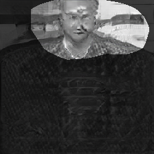 layer0-439