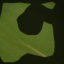 layer0-1991
