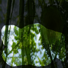 layer0-2005