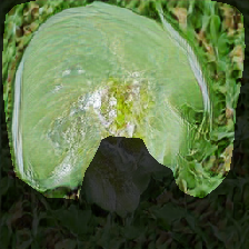 layer0-752