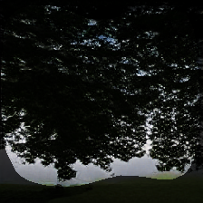 layer1-157