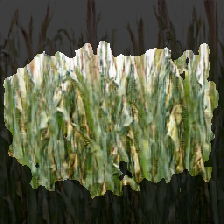 layer3-459