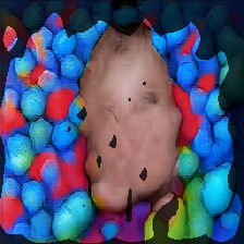 layer1-458
