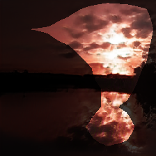 layer0-1374