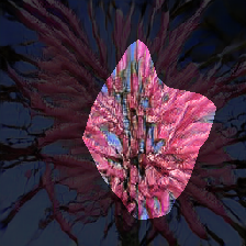 layer0-1539