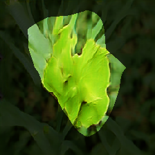 layer0-1539