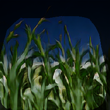 layer0-654