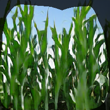 layer0-654