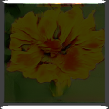 layer2-743