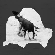 layer0-1236