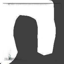 layer0-729