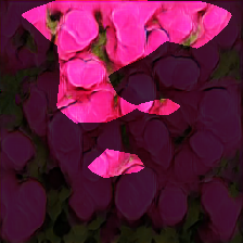 layer0-443