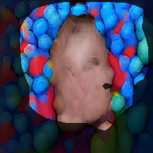 layer0-443