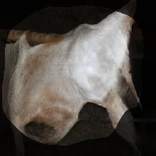layer0-1310